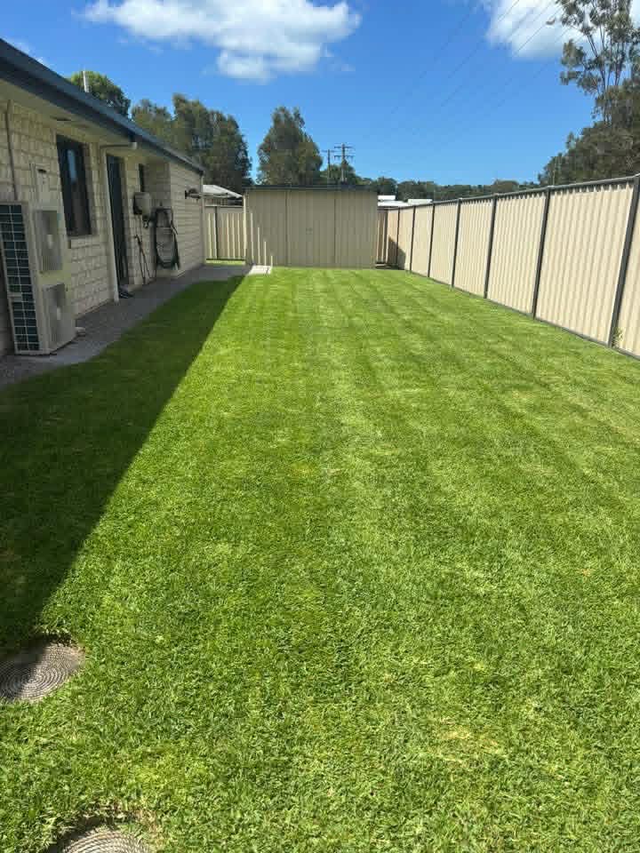 Lawn detail 1