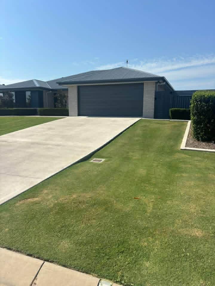 Lawn detail 4