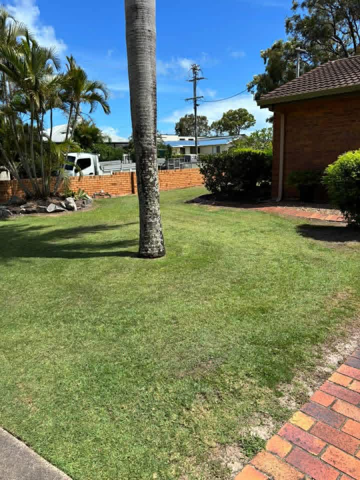 Lawn detail 8